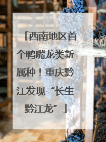 西南地区首个鸭嘴龙类新属种！重庆黔江发现“长生黔江龙”